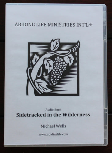 Sidetracked In The Wilderness Audio Book MP3