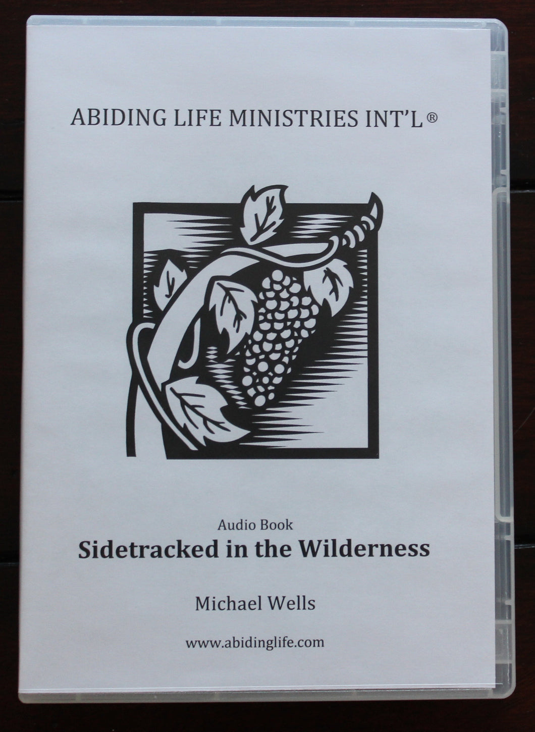 Sidetracked In The Wilderness Audio Book MP3