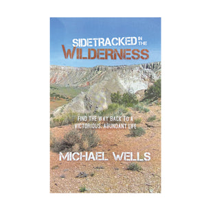 Sidetracked In The Wilderness by Michael Wells